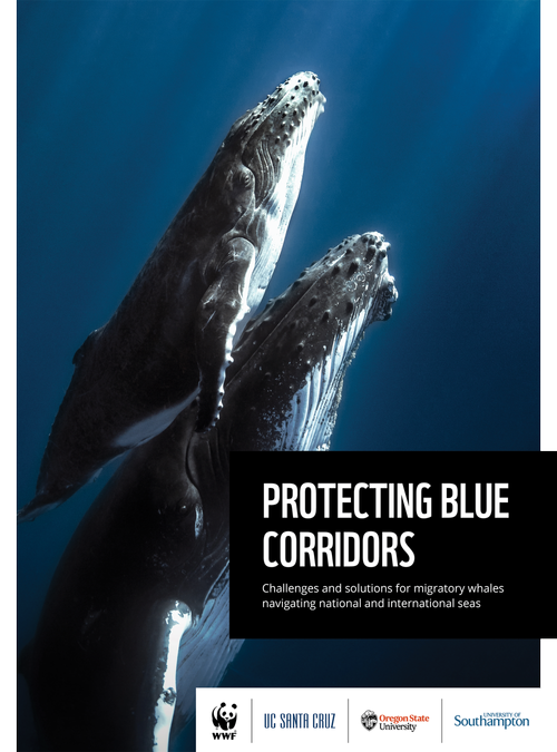 Protección de corredores azules: informe de WWF