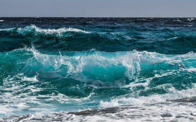 El CSIC lanza la plataforma Oceans+ para investigar la respuesta del medio marino al cambio climático
