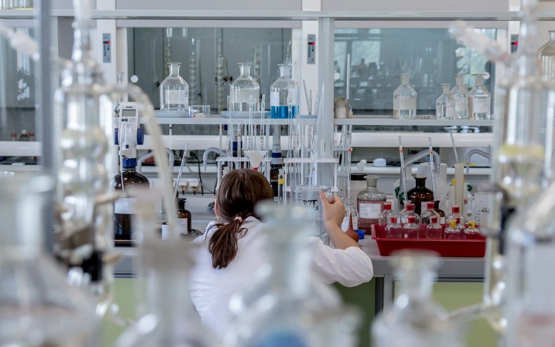 Premio de Excelencia a la Innovación para Mujeres Rurales