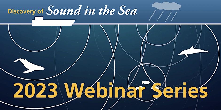 Webinar: Marine mammals and vessel noise: exposure, impacts and potential solutions