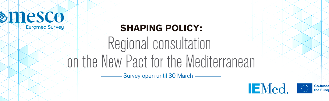 Shaping policy: Consulta regional sobre el Nuevo Pacto para el Mediterráneo