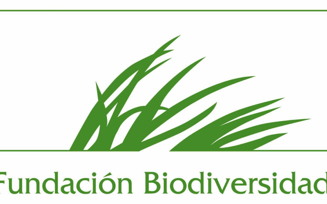 Ayudas para la conservación y restauración marina