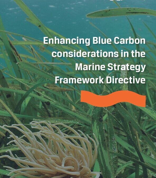 Enhancing Blue Carbon considerations in the Marine Strategy Framework Directive