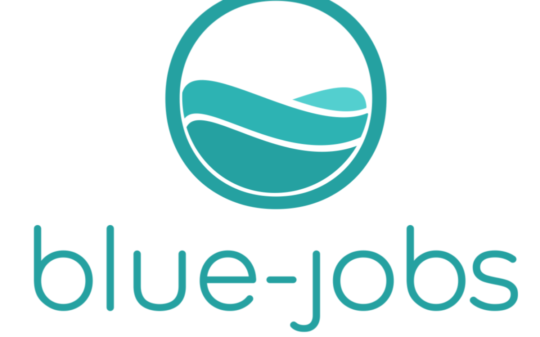 Proposal writing for blue economy projects