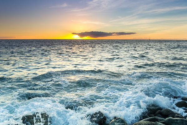La plataforma oceánica virtual europea revoluciona la protección marina