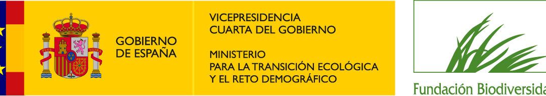 Subvenciones para empleo y restauración en municipios afectados por la DANA