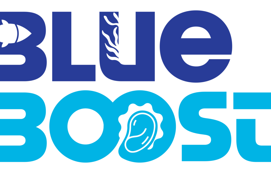 Proyecto europeo BLUEBOOST