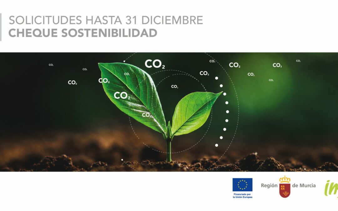 Cheque Sostenibilidad – Ayudas para la sostenibilidad empresarial