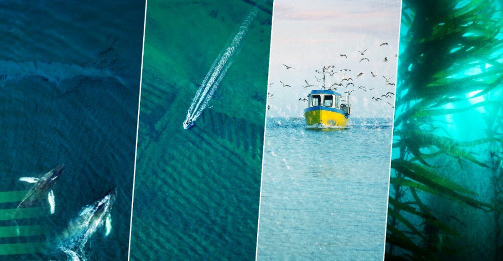 La UE busca expertos para el nuevo Consejo del Océano