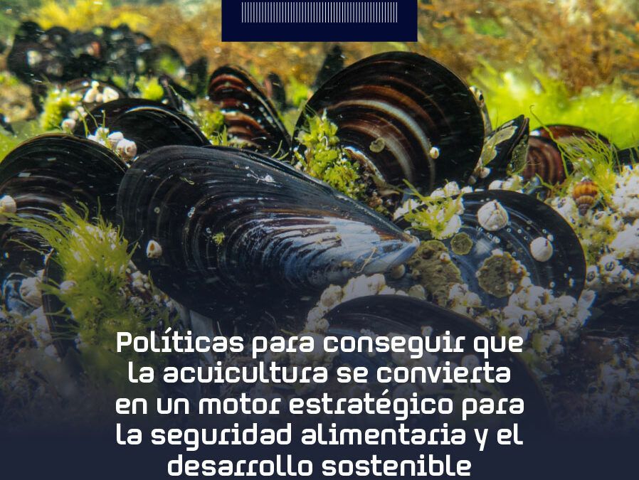 Políticas para impulsar una acuicultura sostenible