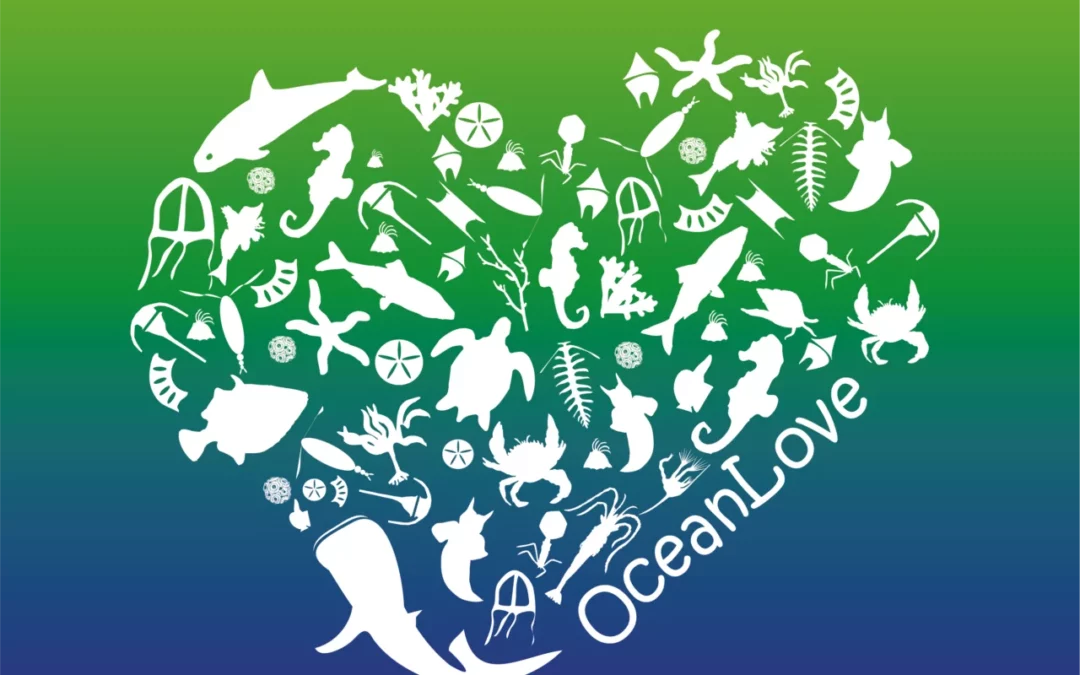 OceanLove Innovation Awards 2026