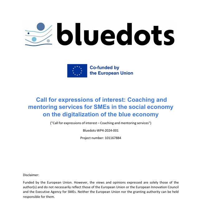 Programa BlueDots de coaching y mentoring para la economía azul