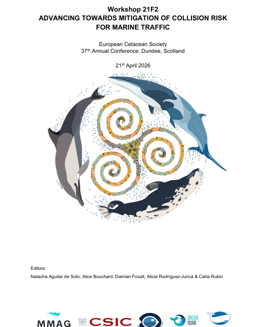 Advancing towards mitigation of collision risk for marine traffic
