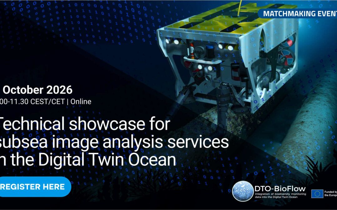 Digital Twin Ocean: análisis automatizado de imágenes submarinas