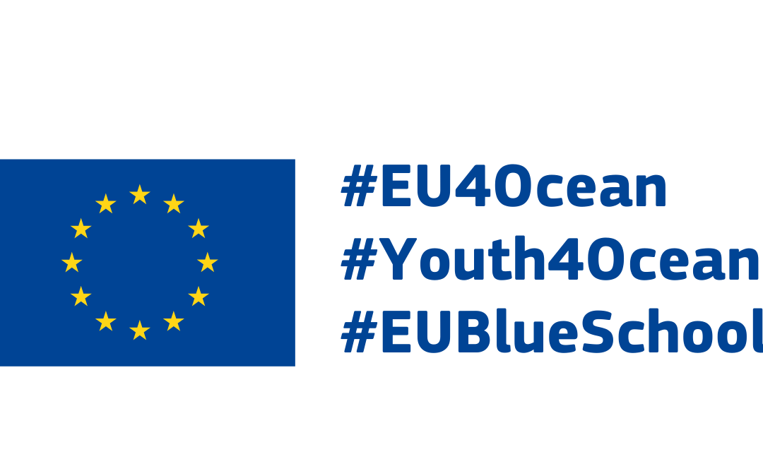 EU4Ocean Grants 2026