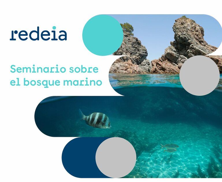 III Seminario científico bosque marino 2026