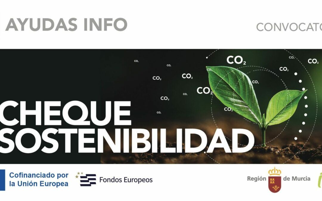 Cheque INFO Sostenibilidad